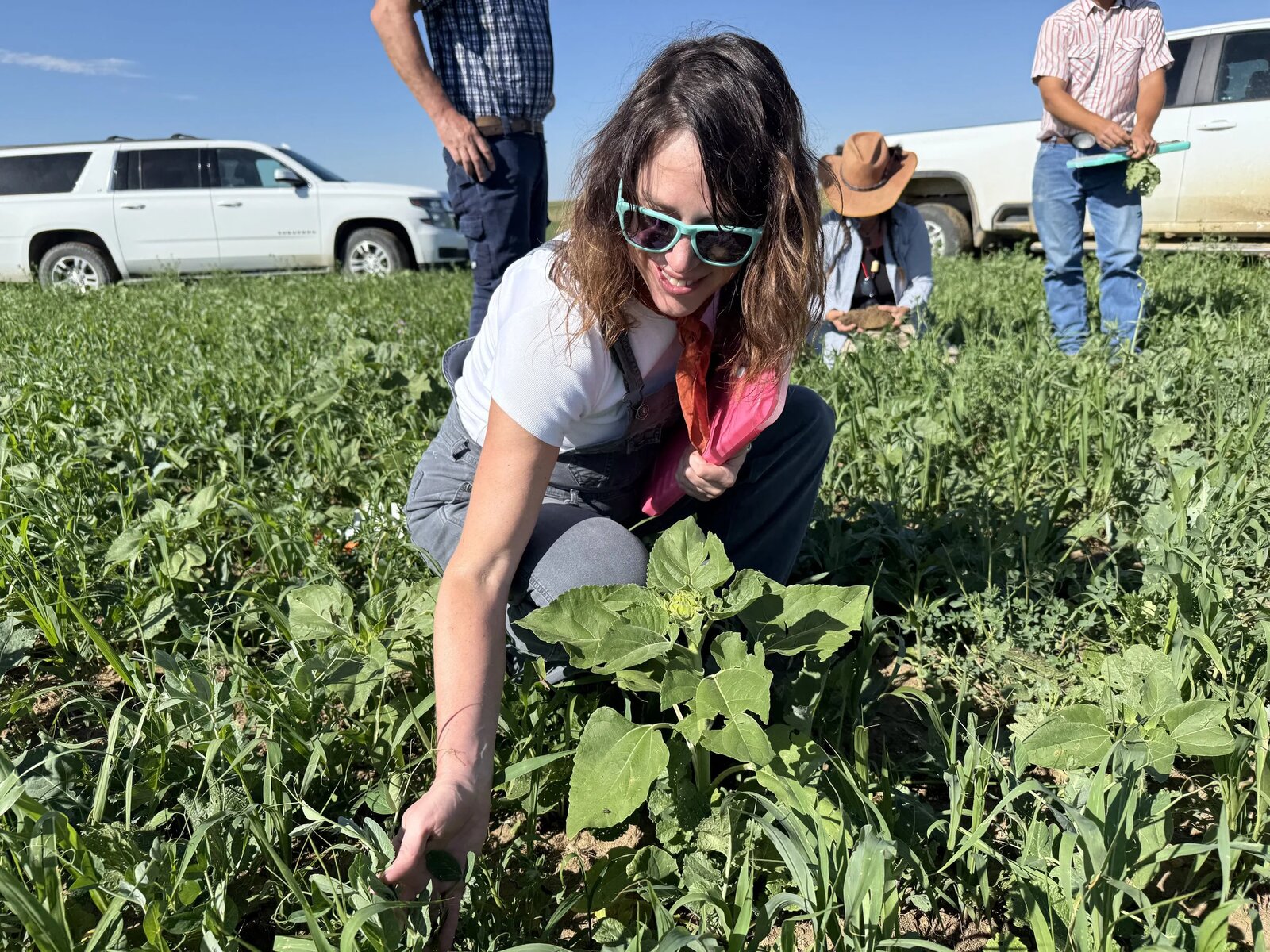 Successful EOV Training Completion — July 2025